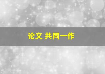 论文 共同一作